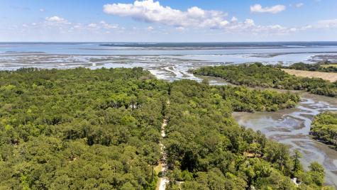 7767 Chaplin Garden Lane Edisto Island SC 29438