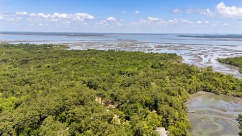 7767 Chaplin Garden Lane Edisto Island SC 29438