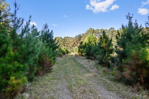 2418 Plow Ground Road Johns Island SC 29455