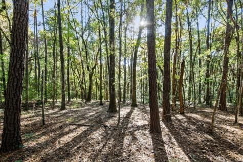 2418 Plow Ground Road Johns Island SC 29455