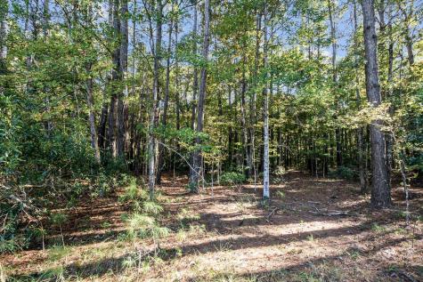 2418 Plow Ground Road Johns Island SC 29455
