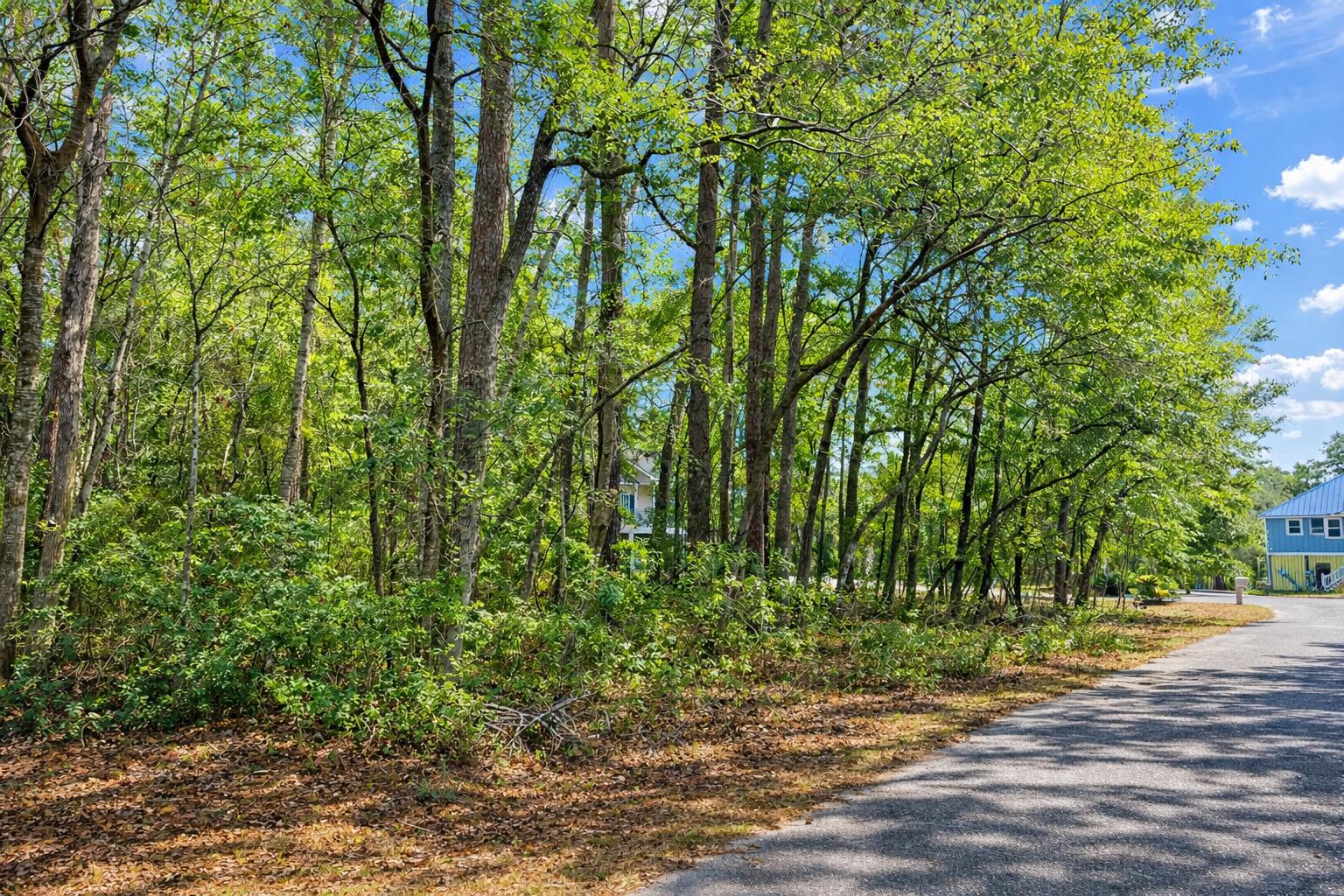 890 Flowers Lane Edisto Island SC 29438