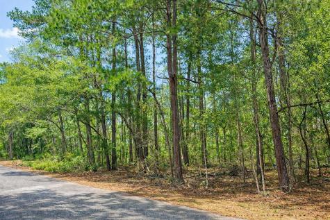 890 Flowers Lane Edisto Island SC 29438