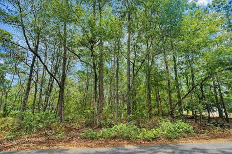 890 Flowers Lane Edisto Island SC 29438
