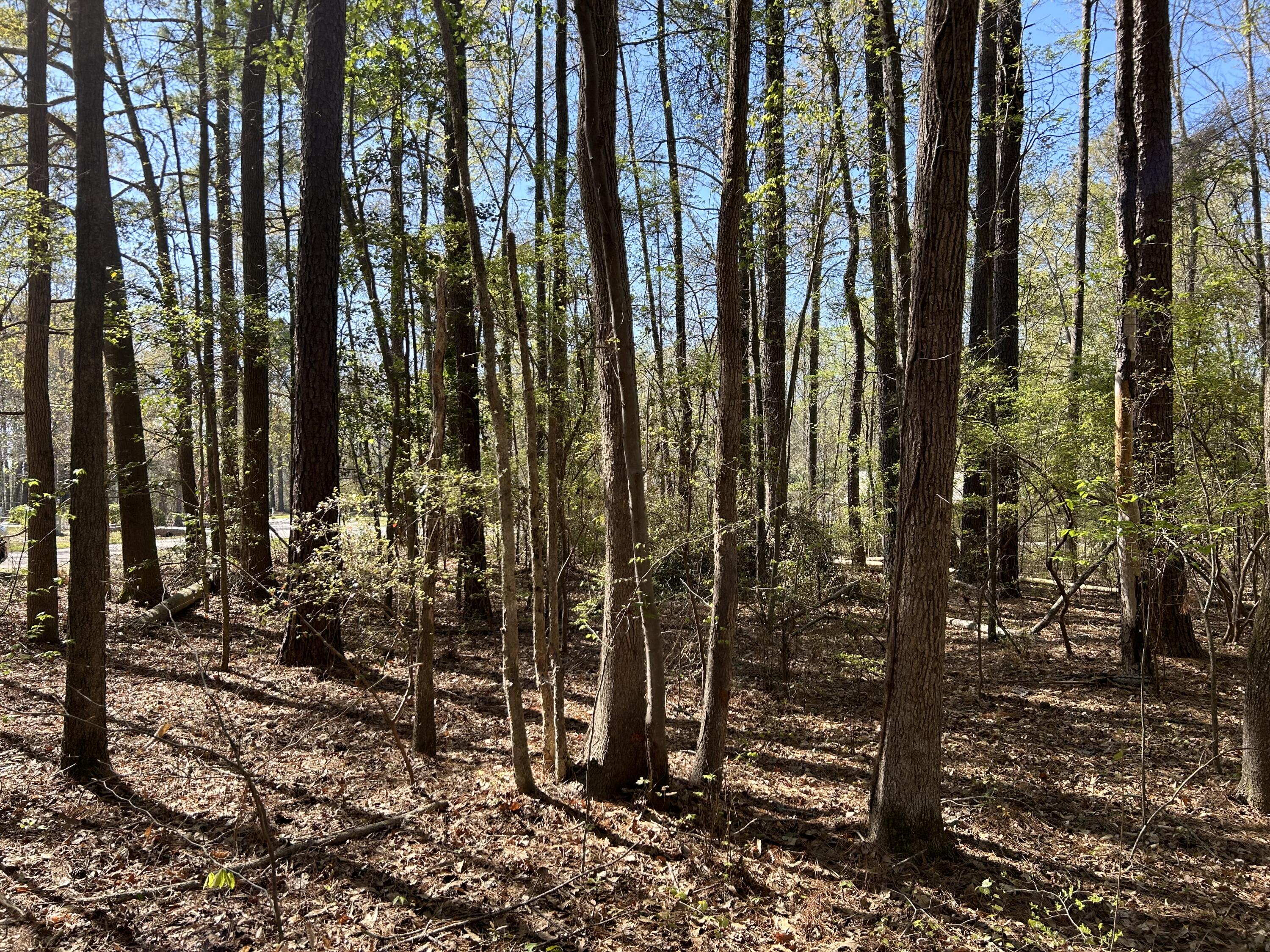 0 Ridge Road Cheraw SC 29520