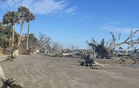 1068 Sarah Battle Lane Edisto Island SC 29438