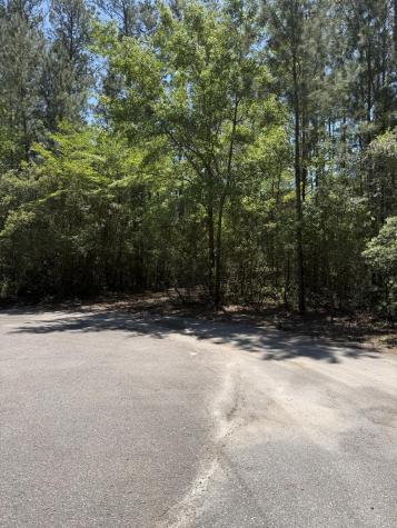 200 Yearling Drive Summerville SC 29486