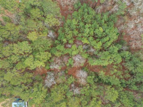 200 Yearling Drive Summerville SC 29486