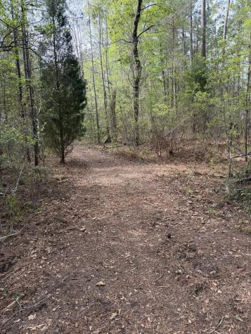 200 Yearling Drive Summerville SC 29486