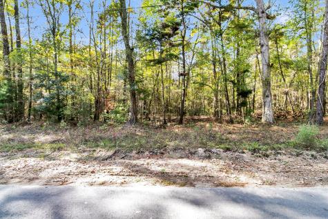 107 Weir Street Summerville SC 29483