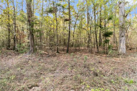 107 Weir Street Summerville SC 29483