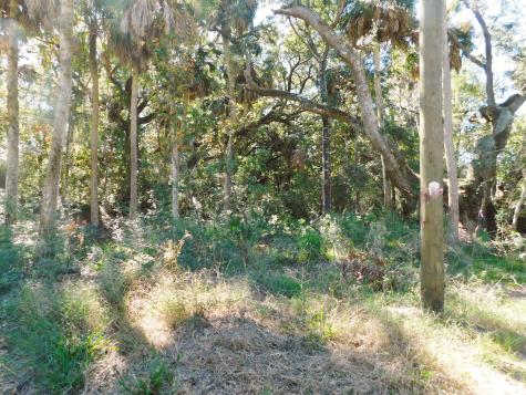 0 Cheehaw Street Edisto Beach SC 29438