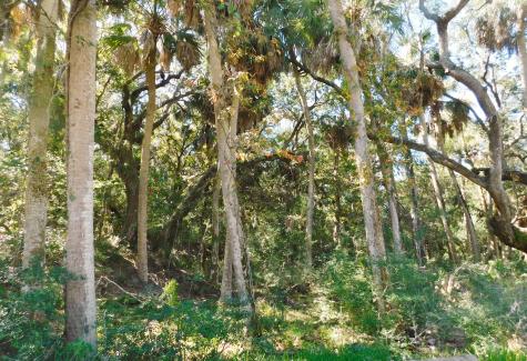 0 Cheehaw Street Edisto Beach SC 29438
