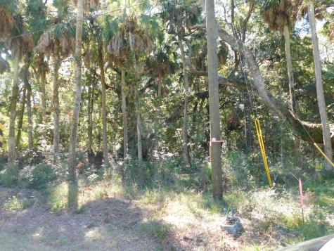 0 Cheehaw Street Edisto Beach SC 29438