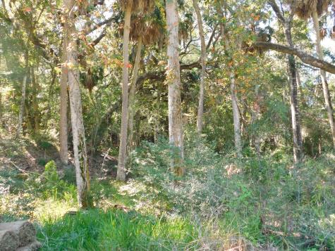 0 Cheehaw Street Edisto Beach SC 29438