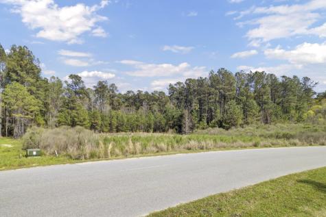 1319 Wood Sorrel Drive Moncks Corner SC 29461