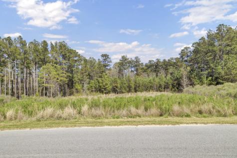 1319 Wood Sorrel Drive Moncks Corner SC 29461