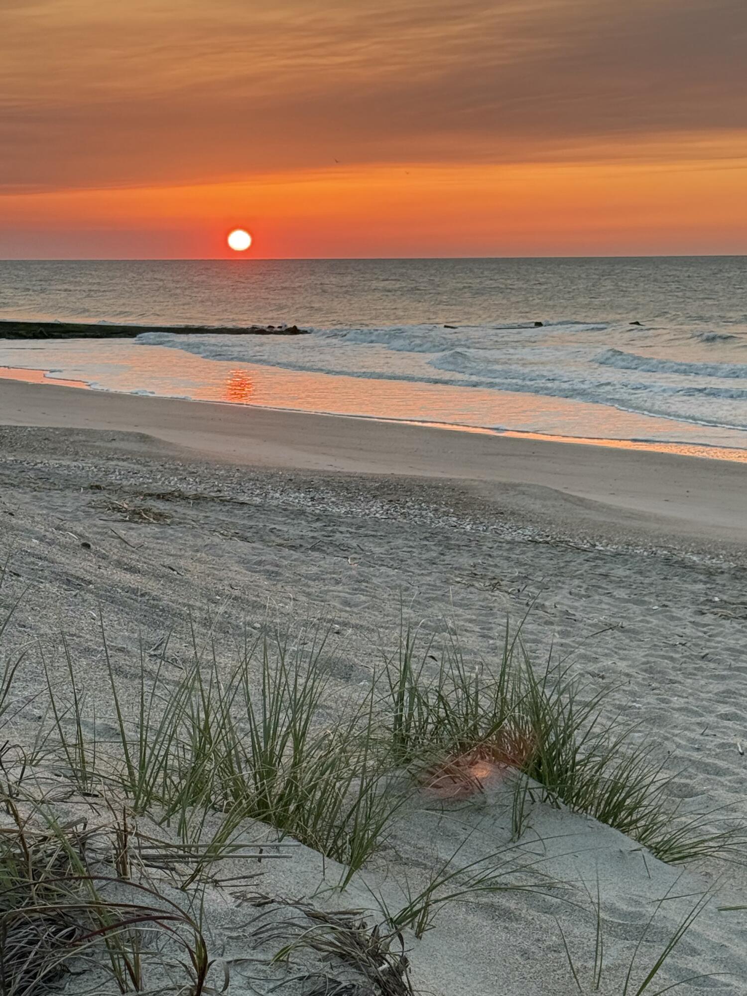 3113 Palmetto Boulevard Edisto Island SC 29438