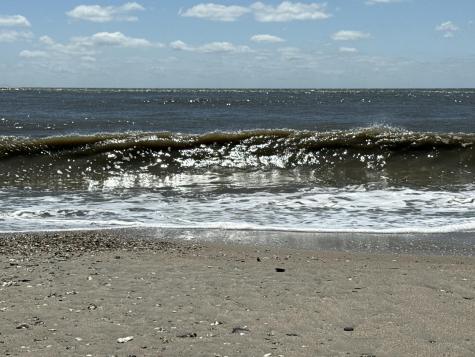 3113 Palmetto Boulevard Edisto Island SC 29438