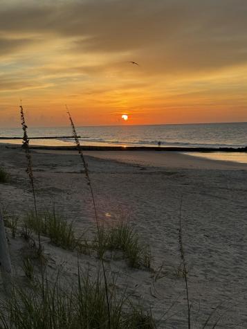 3113 Palmetto Boulevard Edisto Island SC 29438