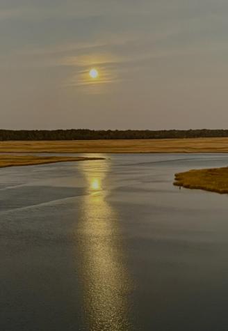 3113 Palmetto Boulevard Edisto Island SC 29438