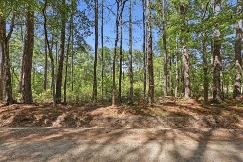 109 Love Lane Summerville SC 29486