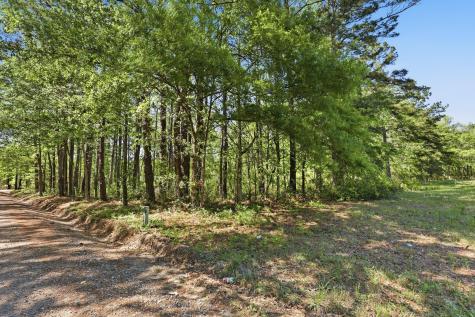 109 Love Lane Summerville SC 29486