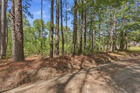 109 Love Lane Summerville SC 29486