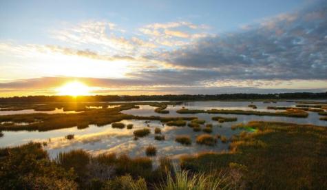 284 Pelican Flight Drive Dewees Island SC 29451