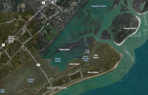 284 Pelican Flight Drive Dewees Island SC 29451