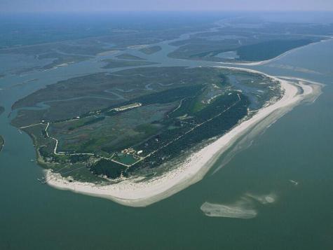 284 Pelican Flight Drive Dewees Island SC 29451
