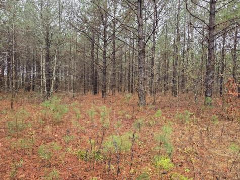 00 Calamus Pond Road Summerville SC 29486