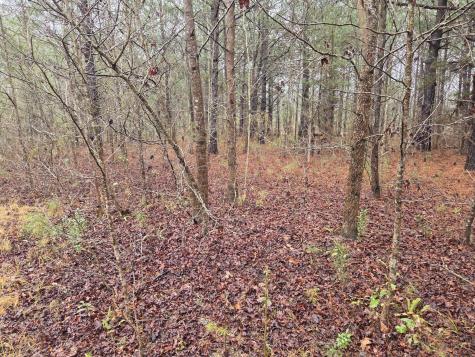 00 Calamus Pond Road Summerville SC 29486