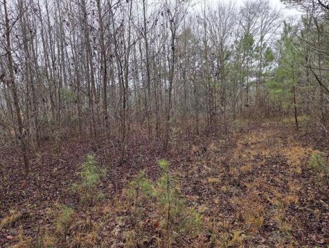 00 Calamus Pond Road Summerville SC 29486