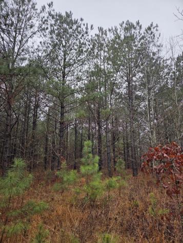 00 Calamus Pond Road Summerville SC 29486