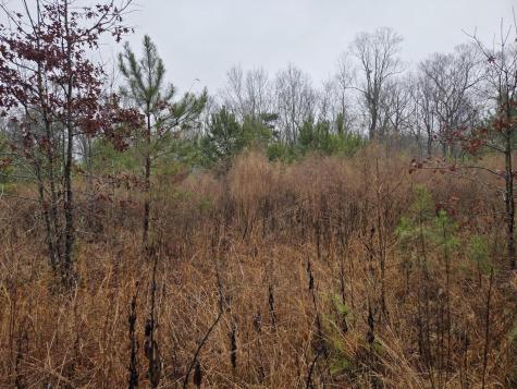 00 Calamus Pond Road Summerville SC 29486
