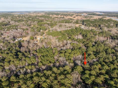 26 Swamprose Lane Seabrook SC 29940