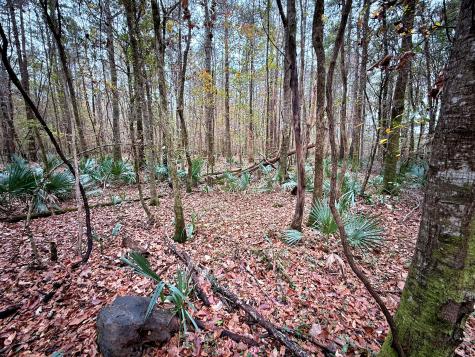 1215 Sandy Run Circle Summerville SC 29486