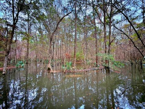 1215 Sandy Run Circle Summerville SC 29486