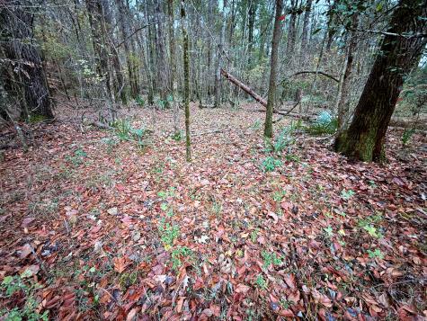 1215 Sandy Run Circle Summerville SC 29486