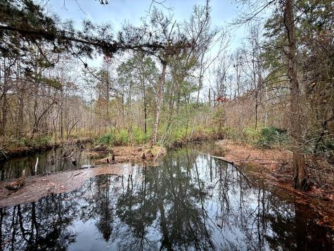 1215 Sandy Run Circle Summerville SC 29486
