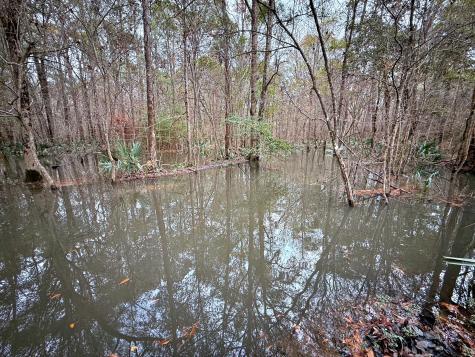 1215 Sandy Run Circle Summerville SC 29486