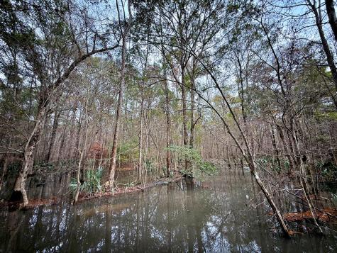 1215 Sandy Run Circle Summerville SC 29486