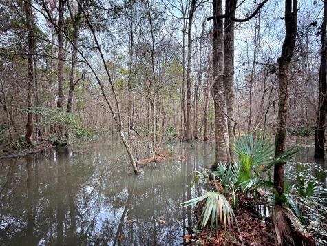 1215 Sandy Run Circle Summerville SC 29486