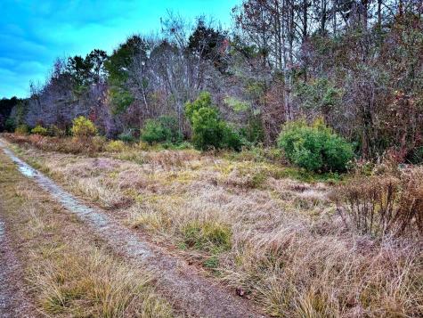 1215 Sandy Run Circle Summerville SC 29486