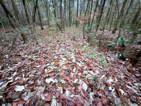 1215 Sandy Run Circle Summerville SC 29486