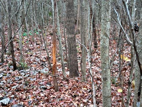 1215 Sandy Run Circle Summerville SC 29486