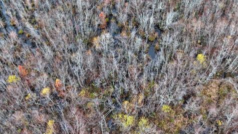 1215 Sandy Run Circle Summerville SC 29486