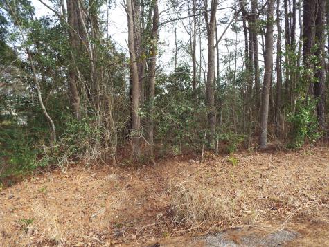 0 Dennis Drive Goose Creek SC 29445