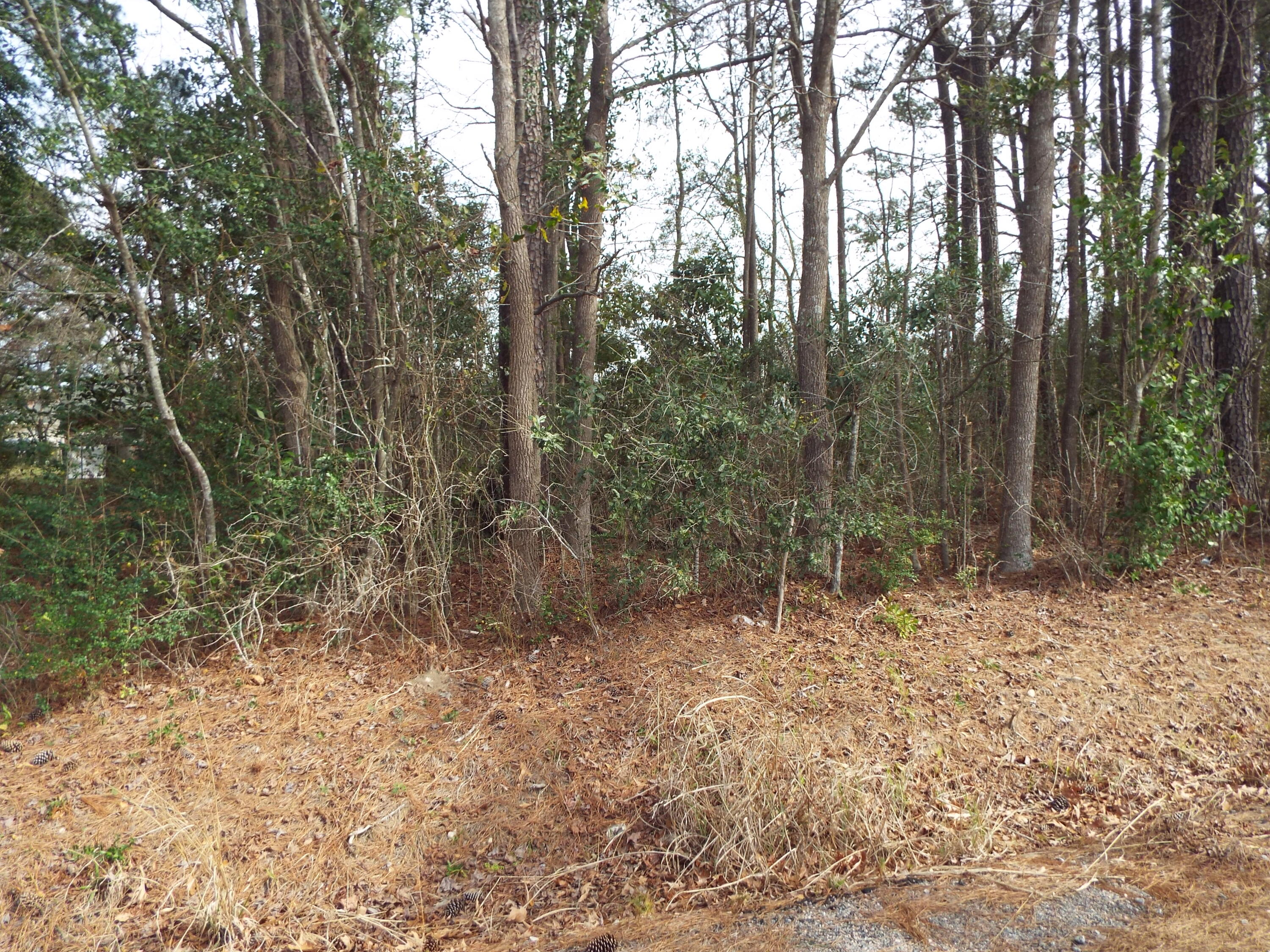 0 Dennis Drive Goose Creek SC 29445